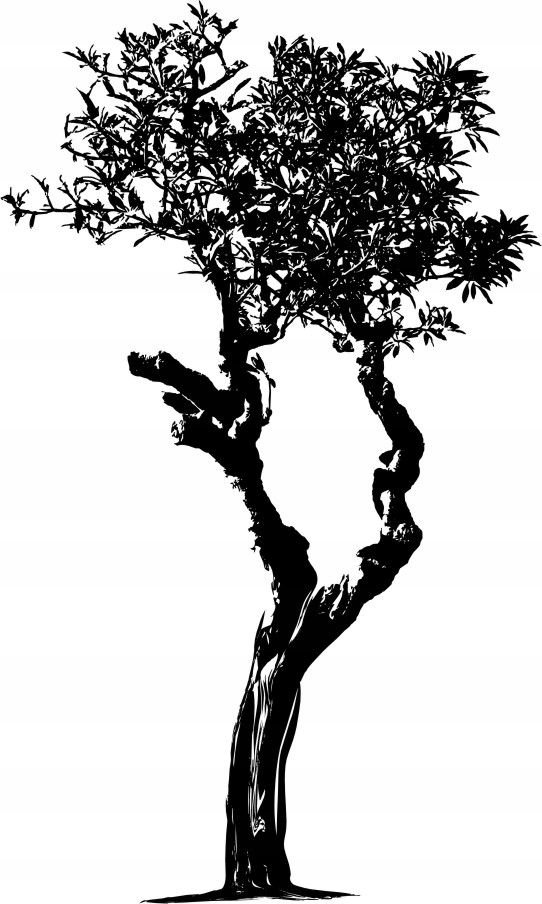 Naklejka na ścianę ścienna 2 metrowe Drzewo DRX-70, 200x120 cm