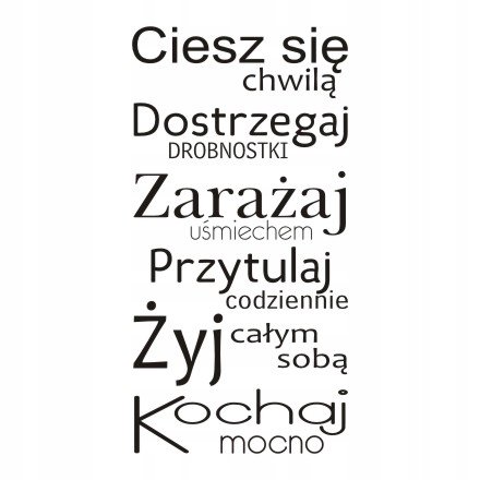 Napis na ścianę, naklejka - Ciesz się chwilą.. 228, 240x120 cm