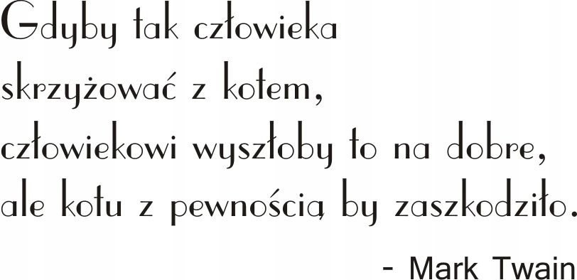 Napis na ścianę naklejka cytat - Mark Twain - 137, 200x100 cm