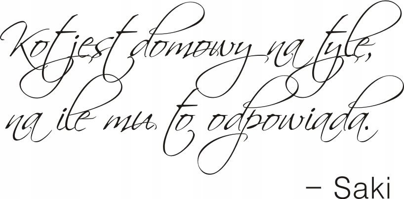 Napis na ścianę naklejka - Domowy kot - 136, 200x100 cm