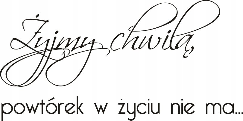 Napis na ścianę, naklejka - Żyjmy chwilą - 96, 240x120 cm