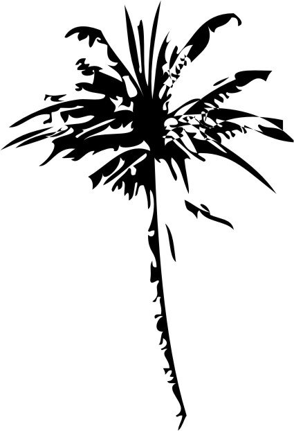 Naklejka na ścianę z palmą palemki drzewo Palma 3, 175x120 cm