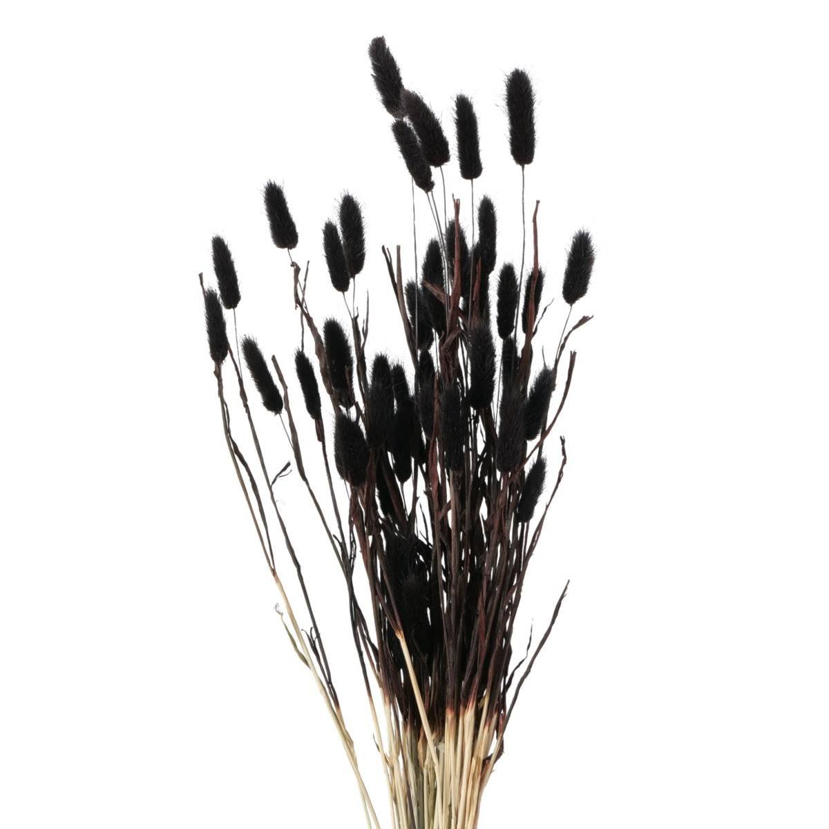 Ozdobne gałązki do wazonu, suszone, 70 cm