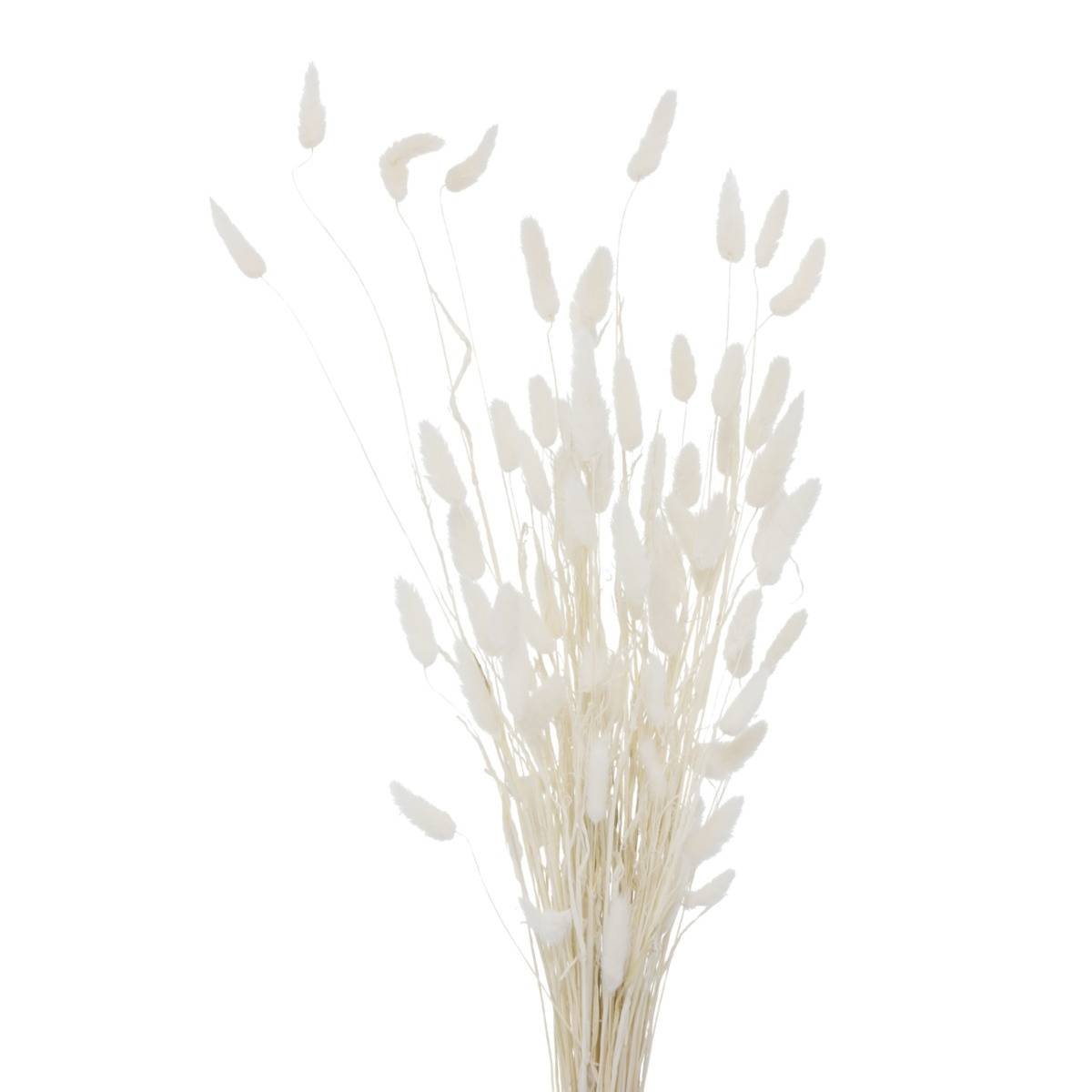 Ozdobne gałązki do wazonu, suszone, 70 cm
