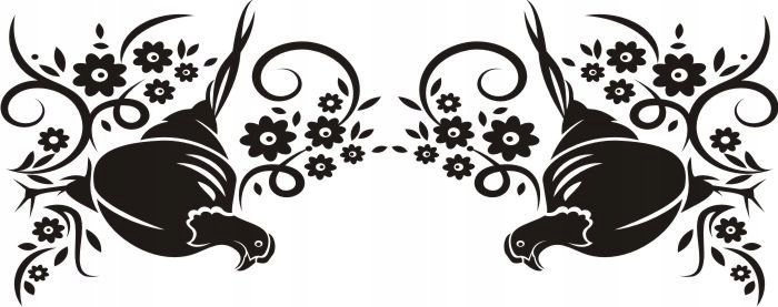 Naklejka na ścianę meble lustro dekor Ornament 37, 60x25 cm