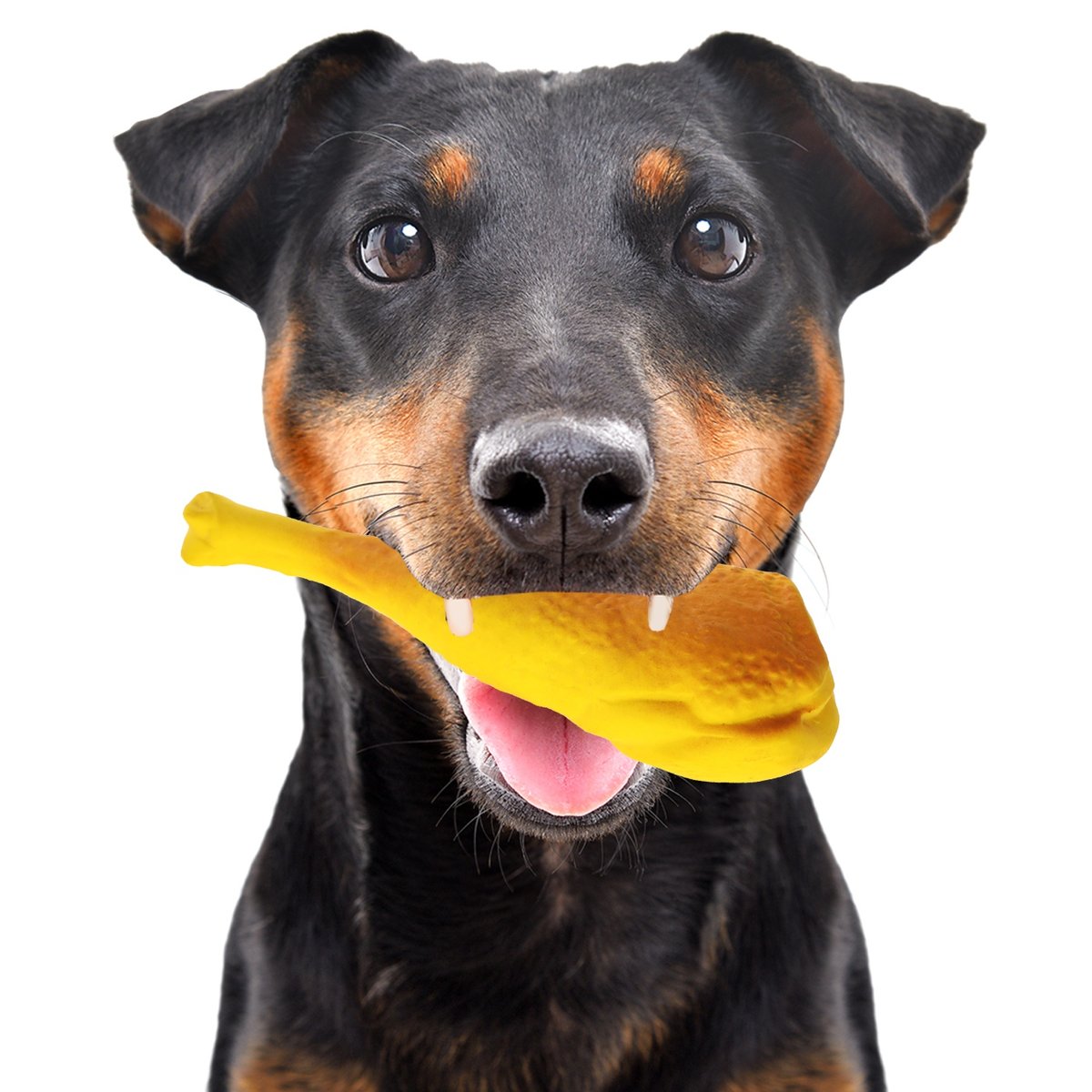 Lupipets LUPIPETS zabawka lateksowa dla psa UDKO Z WYPEŁNIENIEM PISZ 24017