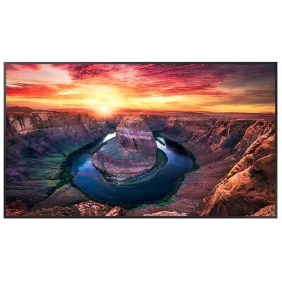 Samsung Monitor profesjonalny QM65B 65 cali Matowy 24h/7 500(cd/m2) 3840 x 2160 (UHD) S10 Player (Tizen 6.5) WiFi/BT 3 lata d2d (LH65QMBEBGCXEN) 1_821093