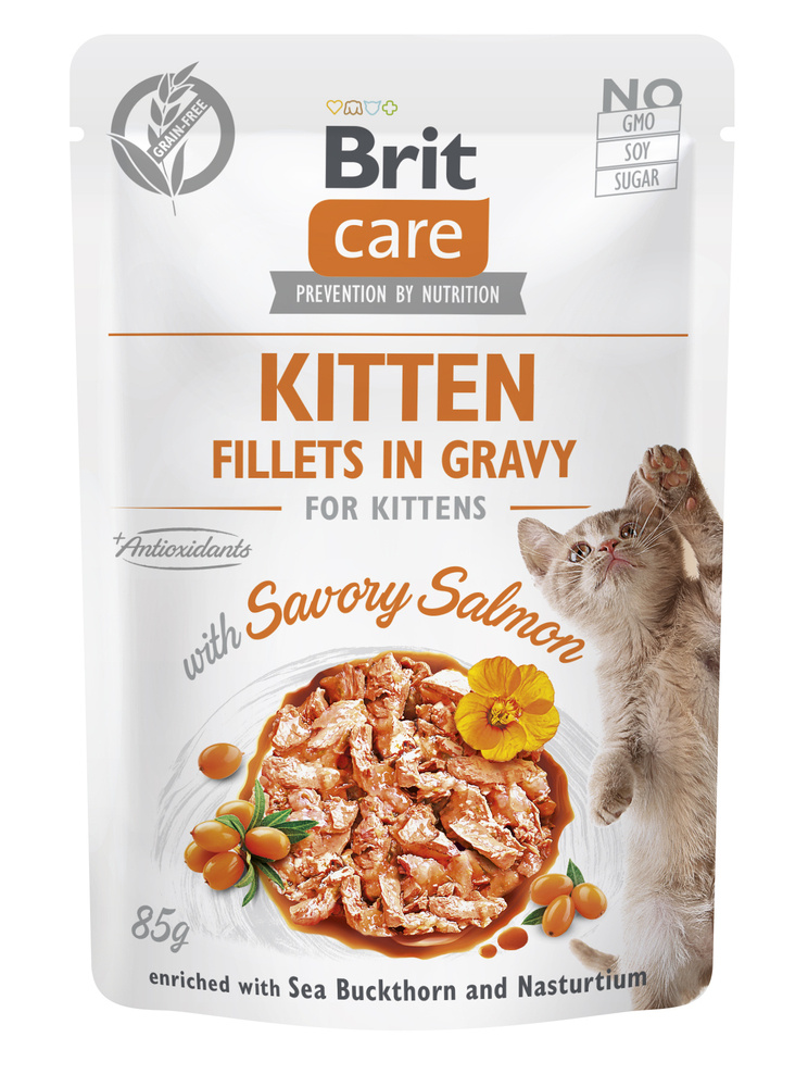 BRIT CARE Cat Kitten Fillets in Gravy with Savory Salmon Enriched with Sea Buckthorn and Nasturtium  85g