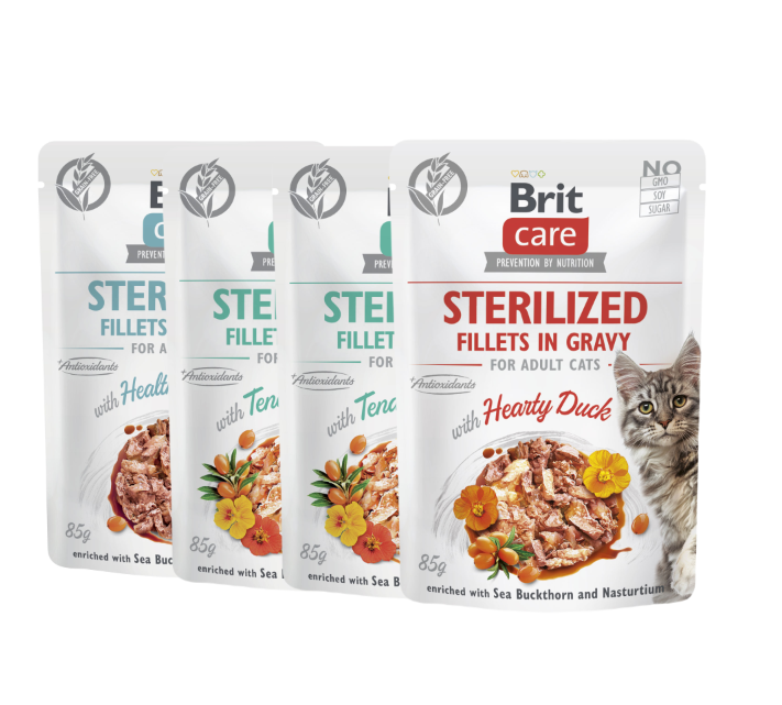 BRIT CARE Cat Sterilized Fillets in Gravy mix 12x85g