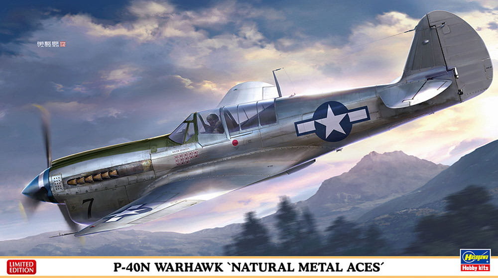 P-40N Warhawk (Natural Metal Aces) 1:48 Hasegawa 07516