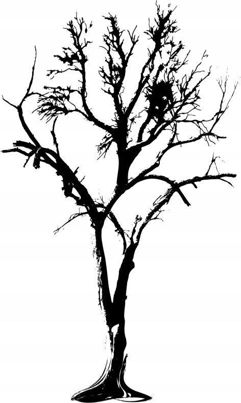 Naklejka na ścianę ścienna 2 metrowe Drzewo DRX-75, 200x120 cm