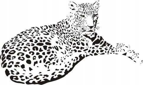 Naklejka na ścianę lampart - Dzikie koty 9, 80x48 cm