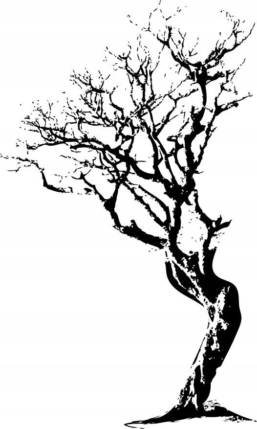 Naklejka na ścianę ścienna 2 metrowe Drzewo DRX-32, 200x120 cm