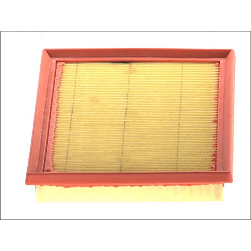 Filtron Filtr powietrza AP170/3 AP170/3