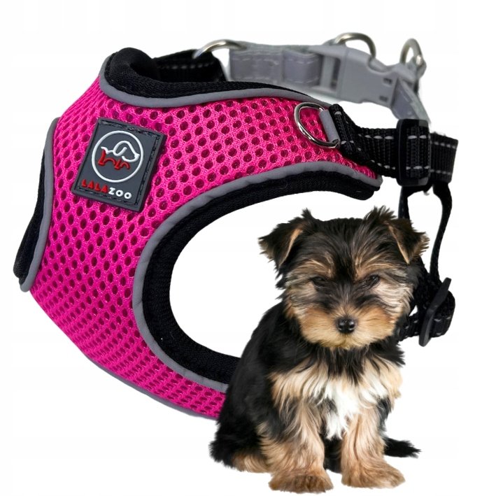 Opinie o SZELKI BEZUCISKOWE dla małego psa breeze XS fuksja