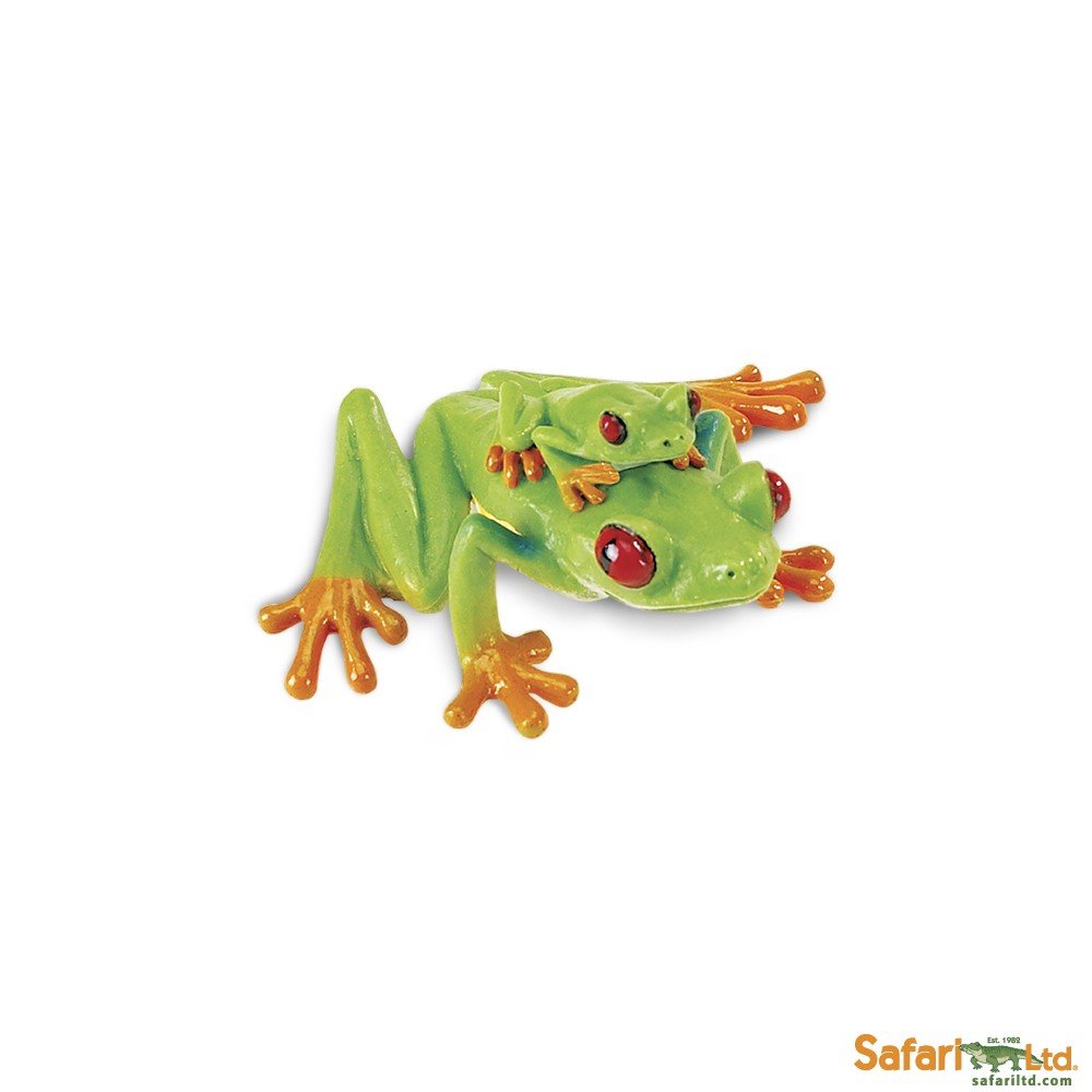 Safari Zielona żaba z czerwonymi zwierzętami, wielokolorowa (S100120) B01LFTKL5S