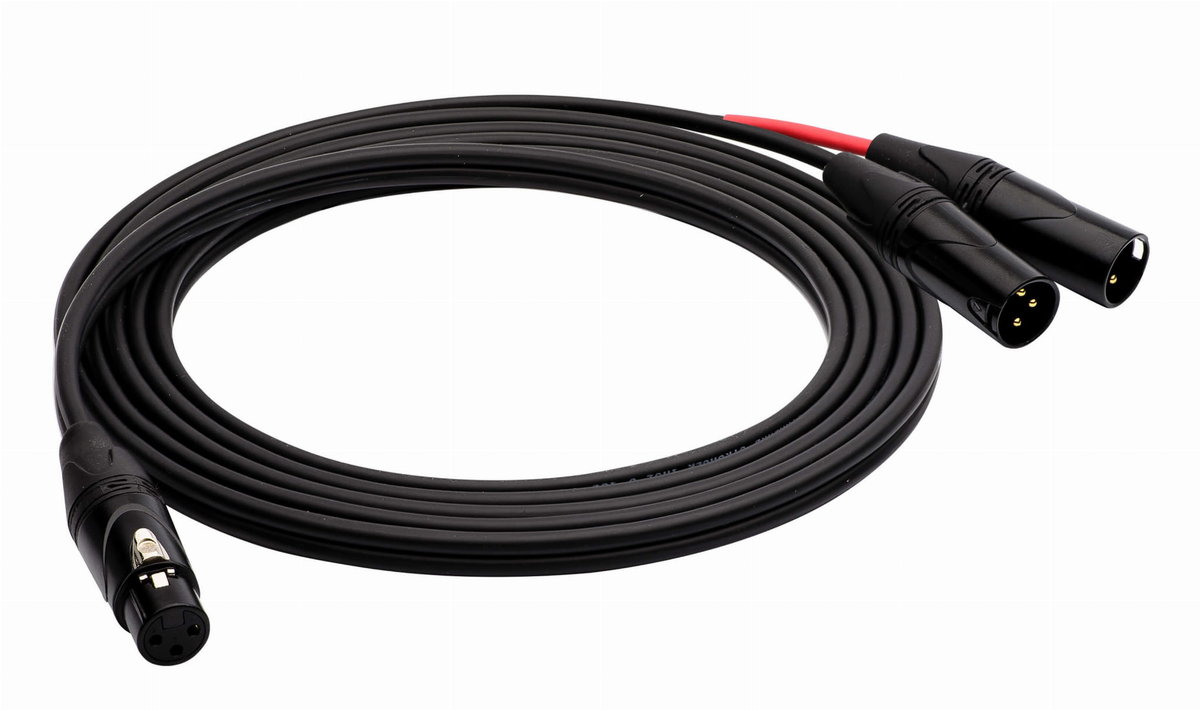 Red's Music AU3103 kabel audio xlrf - 2xlrm 30 cm