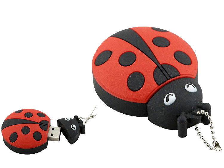 Pendrive DR. MEMORY Biedronka, 8GB