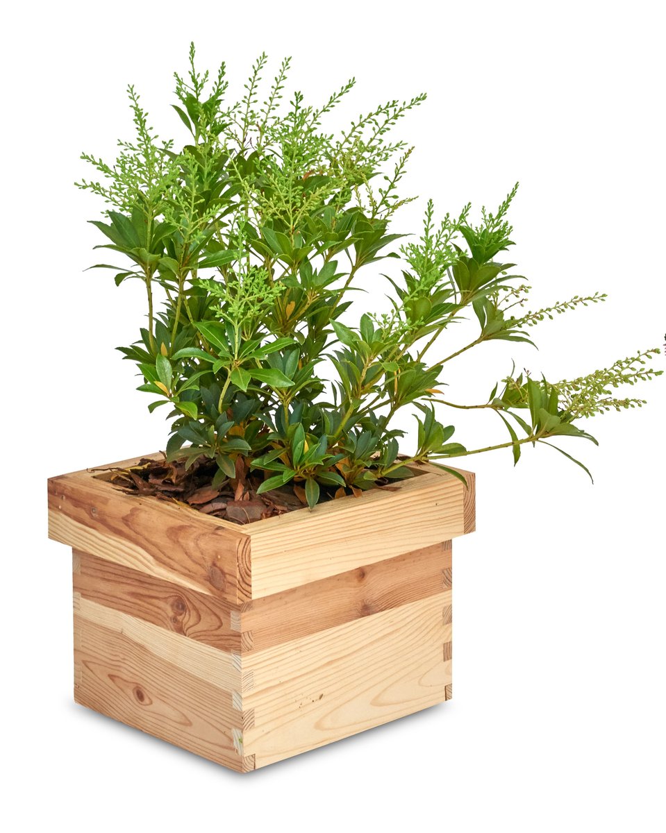 Doniczka kwadrat 20x20x15 cm