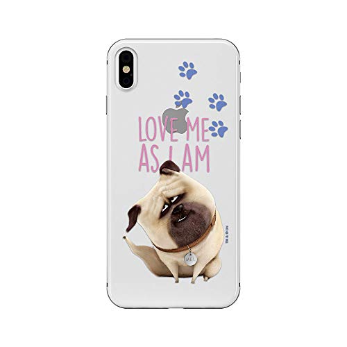 ERT GROUP Oryginalne i oficjalnie licencjonowane etui na telefon komórkowy DreamWorks Pets do iPhone XS MAX, case Pets, etui z tworzywa sztucznego TPU, chroni przed uderzeniami i zadrapaniami