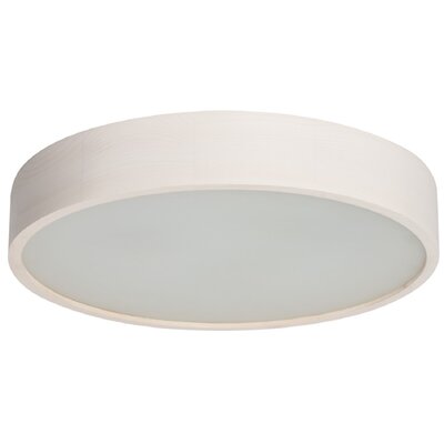 Kanlux Jasmin D47,5 plafon 3-punktowy Biały dąb 470-W 23125