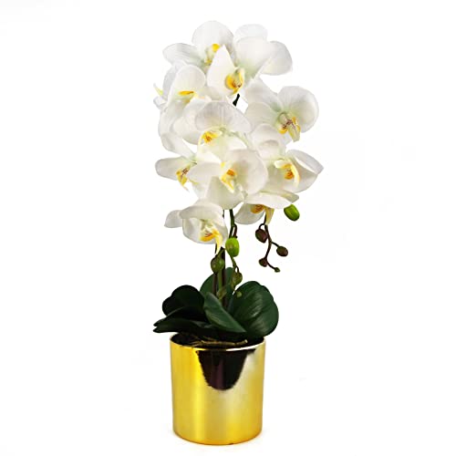 Leaf Design UK Realistyczny sztuczny kwiat orchidei ekspozycja w doniczce, białe złoto, 52 cm