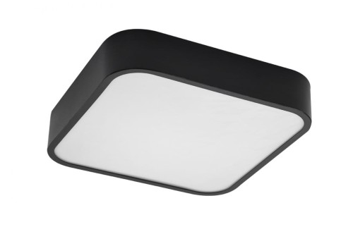 Azzardo Lampa sufitowa Lucie 43 IP44 AZ4147 AZ4147