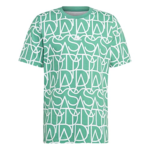 adidas Męski T-shirt (Short Sleeve) M Bl Tee Q2, Semi Court Green, HZ3091, M
