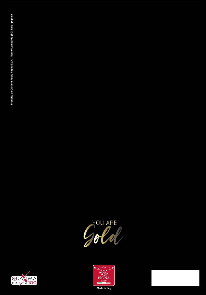 Pigna, Zeszyt A4 50 kartek kratka Monocromo Gold