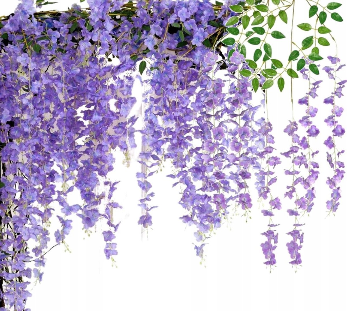 Sztuczny Wiszący BLUSZCZ Roślina Dekoracja x12 - Kwiatowy Zestaw 12 Gałązek Glicynii