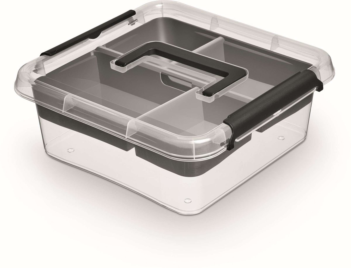 Altom SIMPLESTORE INSERT POJEMNIK DO PRZECHOWYWANIA Z POK. I RĄCZKĄ 29X29X11CM 6L (1377) 5902541137724