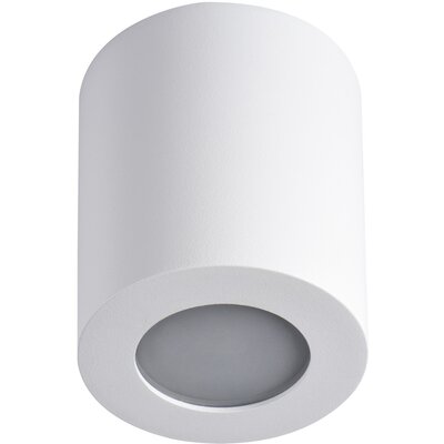 Kanlux Sani 29241 reflektor 1x10W PAR16 biały
