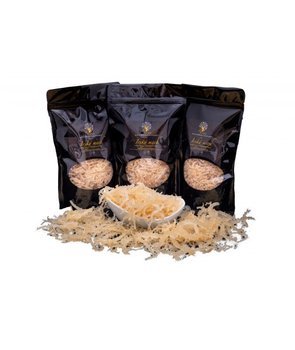 Mech irlandzki SKARBIEC ZDROWIA Irish Moss, 100 g