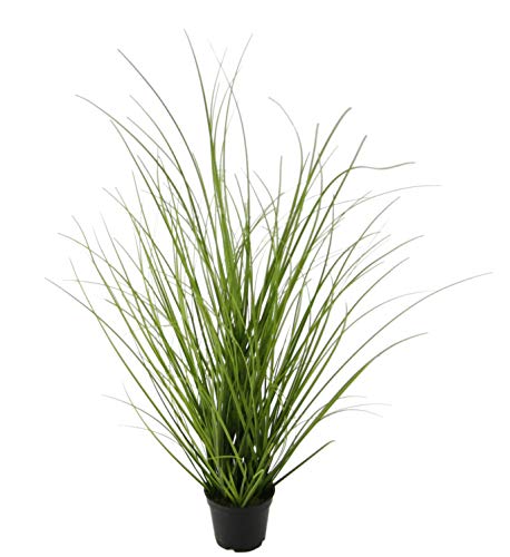 Flair Flower Sztuczna trawa w doniczce, roślina zielona, sztuczna trawa, trawa dekoracyjna, krzew trawy, sztuczna trawa ozdobna, trawa soliter, roślina dekoracyjna, roślina zielona, roślina