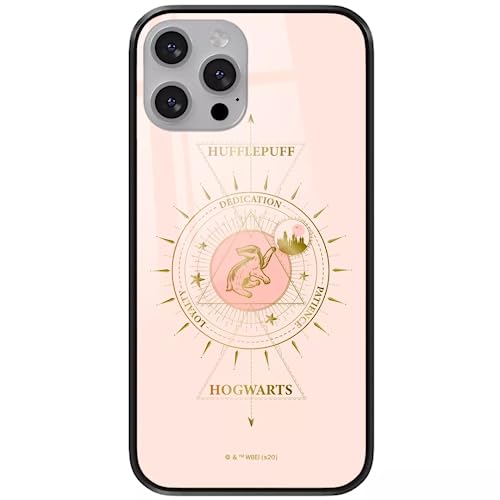 ERT GROUP etui na telefon Apple Iphone 13, case oryginalny i oficjalnie licencjonowany przez Harry Potter, wzór Harry Potter 006, wykonany z hartowanego szkła, etui ochronne