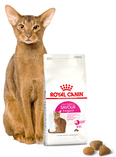 ROYAL CANIN  Exigent Savour 35/30 Sensation 2kg + niespodzianka dla kota GRATIS!