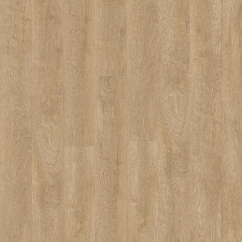 Avvio Somerset Oak 22311 Dryback