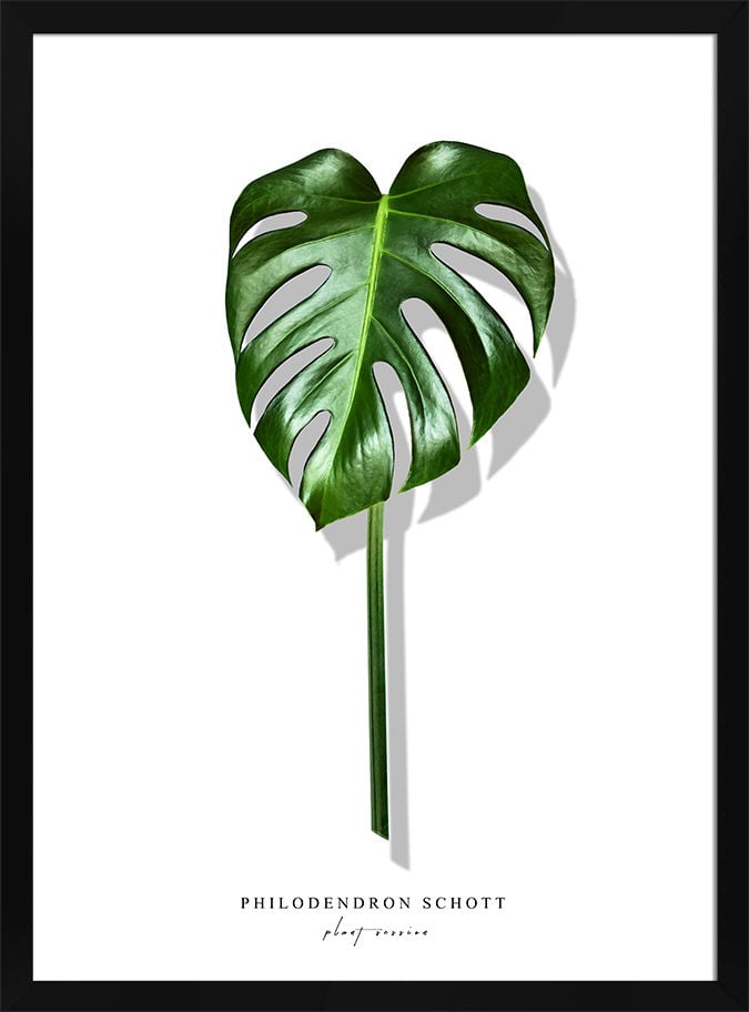 Obraz W Ramie 50X70 Ob-036