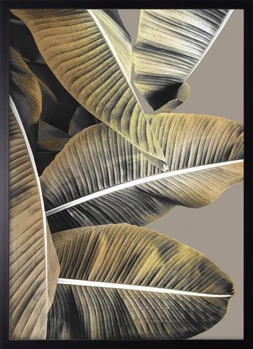 Obraz W Ramie 50X70 Ob-054