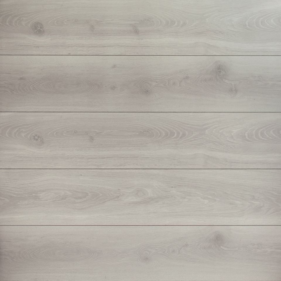 Dąb Pirenejski 448 Ambiance