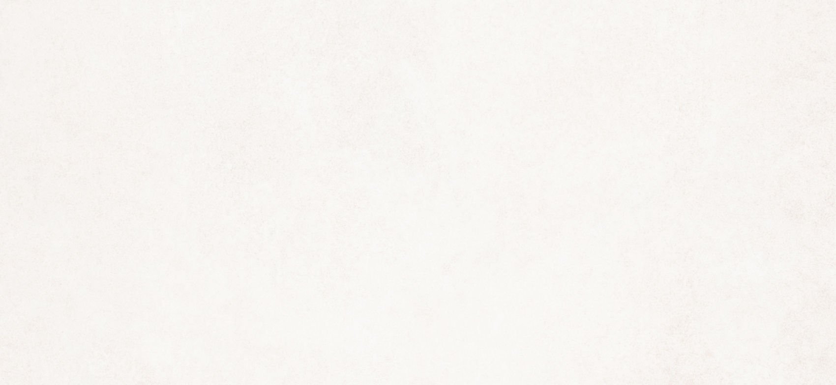 Gres Suburb Bianco Mat Rect 60X120 Senti