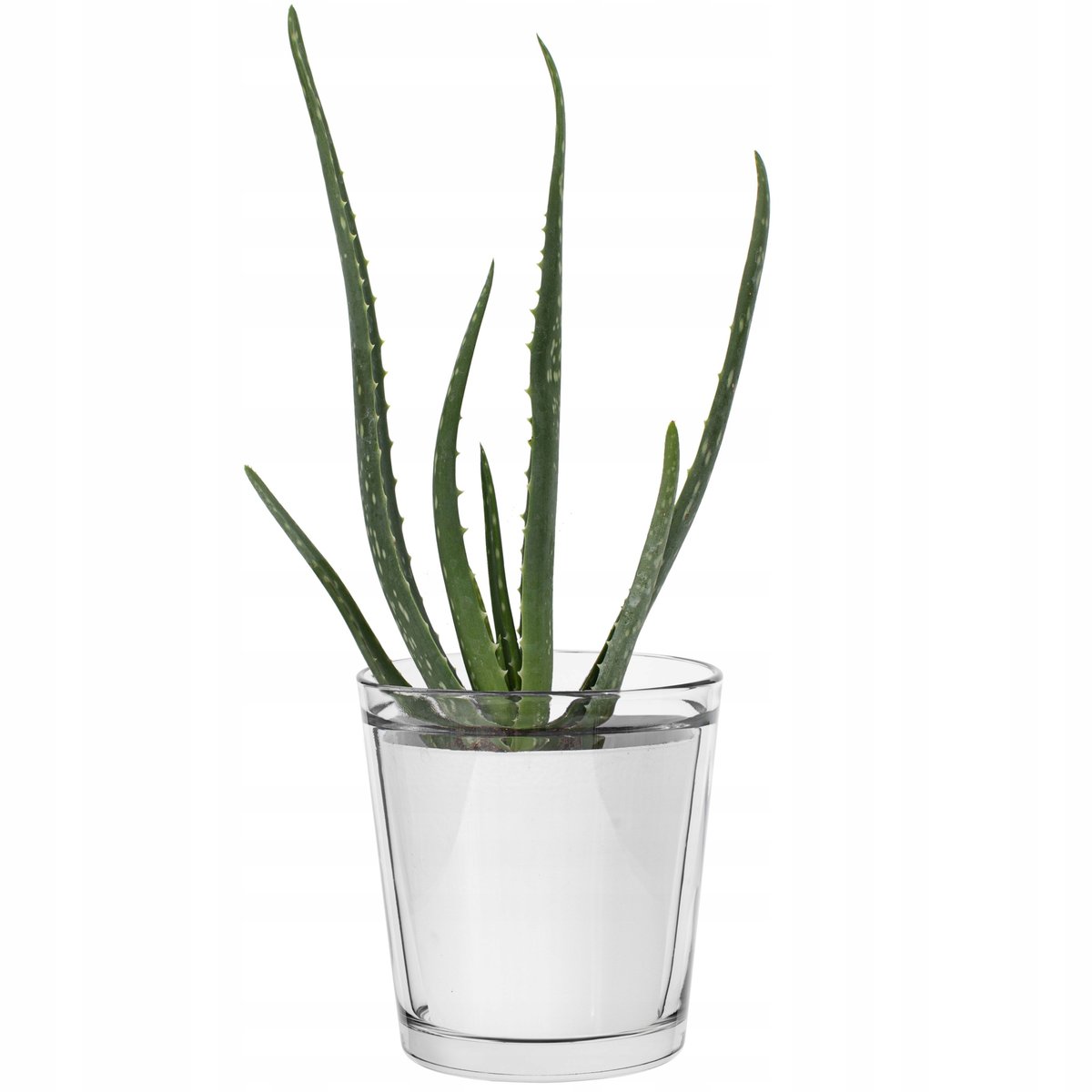 Osłonka na doniczkę Orchid przezroczysta