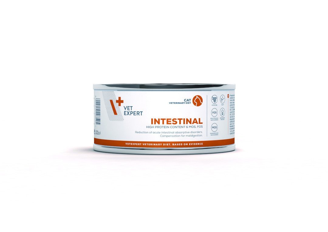 4T VET INTESTINAL CAT 100 g