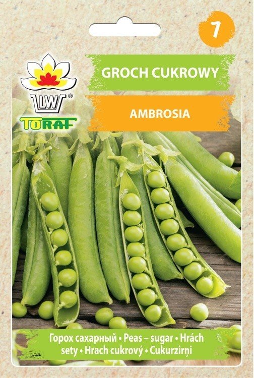 Toraf Groch cukrowy Ambrosia nasiona warzyw 50g 00106