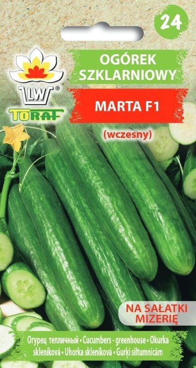 Ogórek pod osłony MARTA F1
Cucumis sativus L.