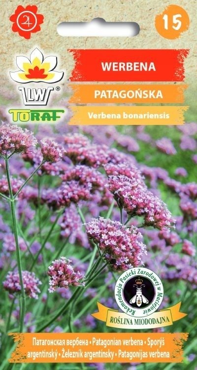 WERBENA PATAGOŃSKA ARGENTYŃSKA nasiona kwiatów