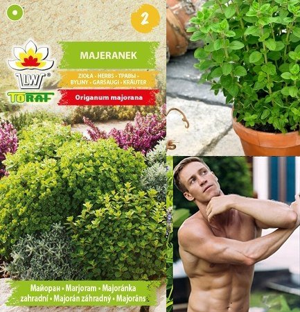 Torseed Majeranek Ogrodowy 1g