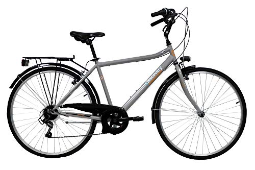 Discovery Rower Mężczyzna, Rower Trekking Manhattan 28'' Skrzynia biegów Shimano 6 prędkości, Kolor Metal, Srebrny Metaliczny, 28