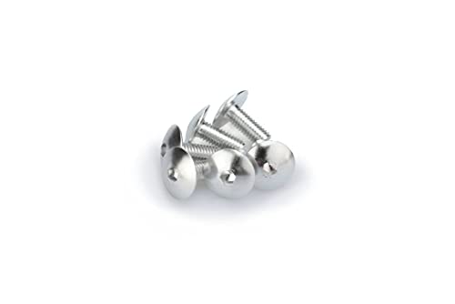Puig: Blister 6 śrub M6 x 15 mm. srebrny