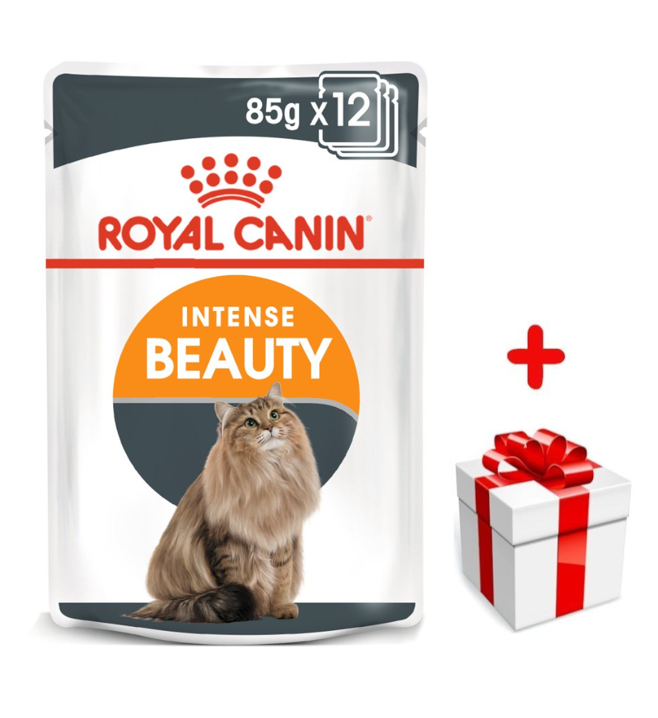 ROYAL CANIN  Intense Beauty 12x85g w galaretce karma mokra w galaretce dla kotów dorosłych, zdrowa skóra, piękna sierść + niespodzianka dla kota GRATIS!